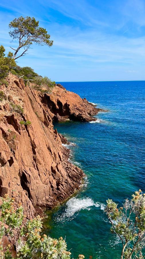 Les Cactus Frejus Plage Eksteriør bilde