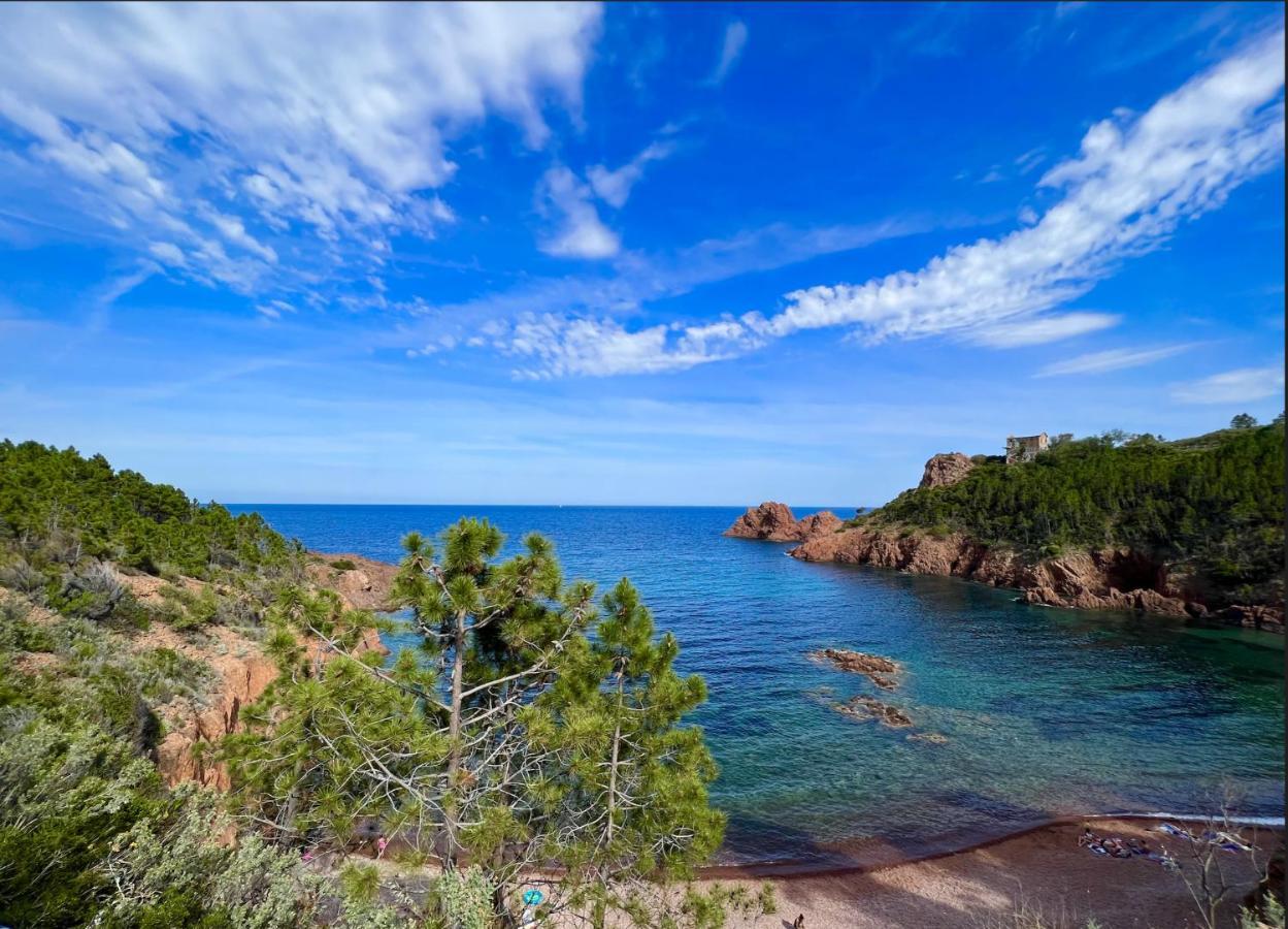 Les Cactus Frejus Plage Eksteriør bilde