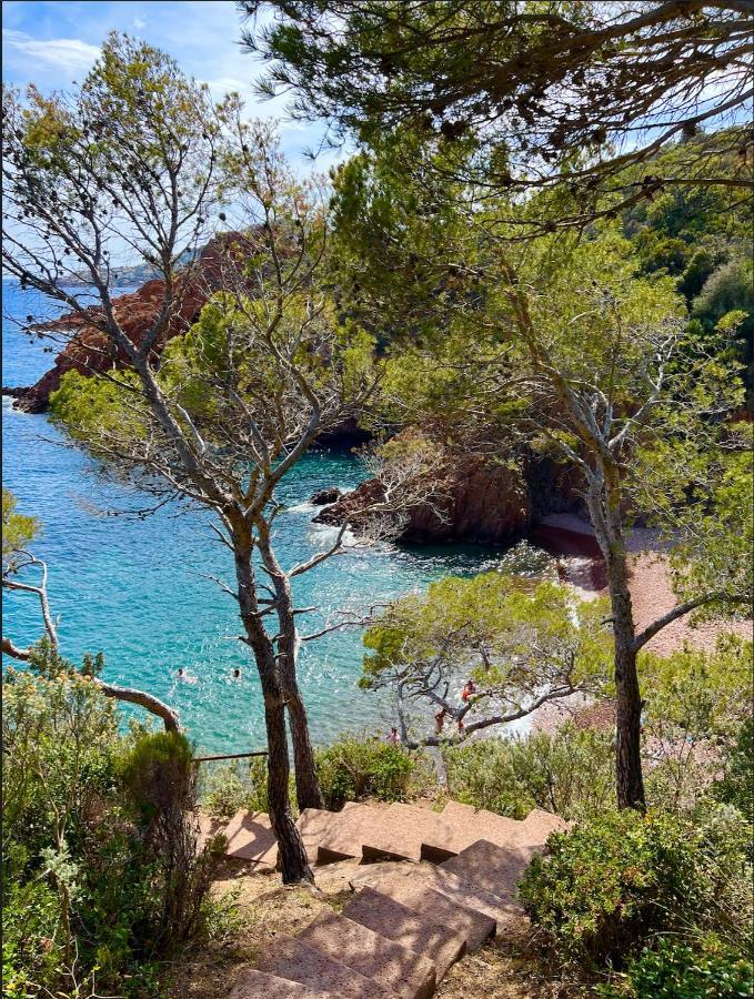 Les Cactus Frejus Plage Eksteriør bilde