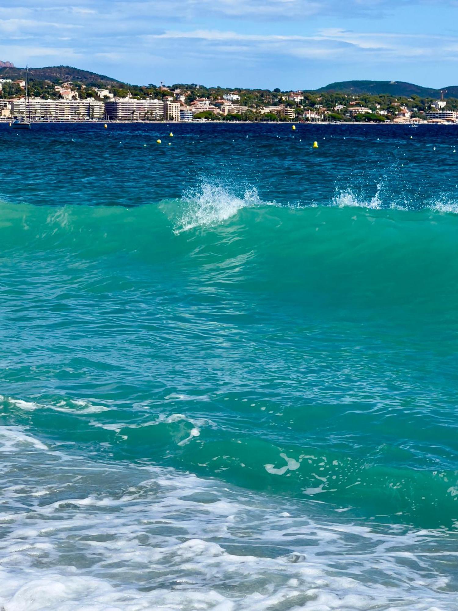 Les Cactus Frejus Plage Eksteriør bilde